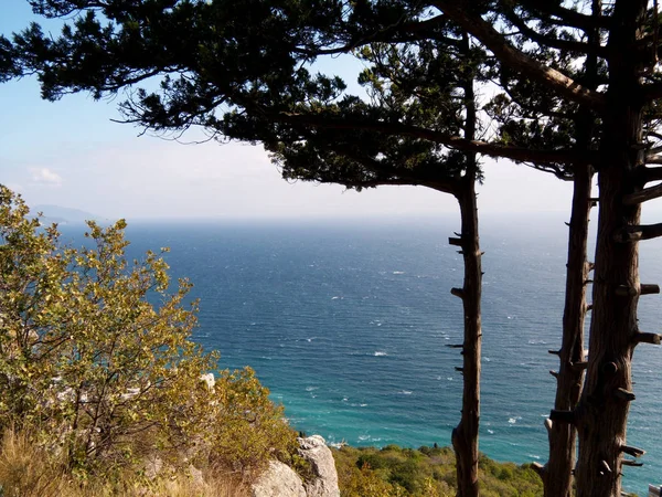 Вид с гор на приморский город под Ялтой, Крым, небо, голубая морская вода, сосна, фир, хвойное дерево на скалах — стоковое фото