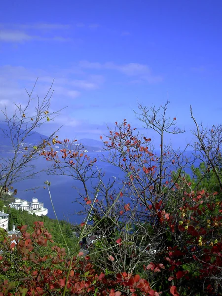 Вид на Ялту из села Ливадия в Крыму — стоковое фото
