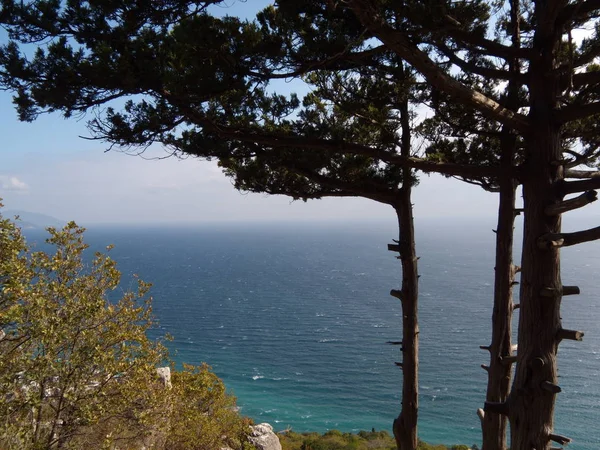 Вид с гор на приморский город под Ялтой, Крым, небо, голубая морская вода, сосна, фир, хвойное дерево на скалах — стоковое фото