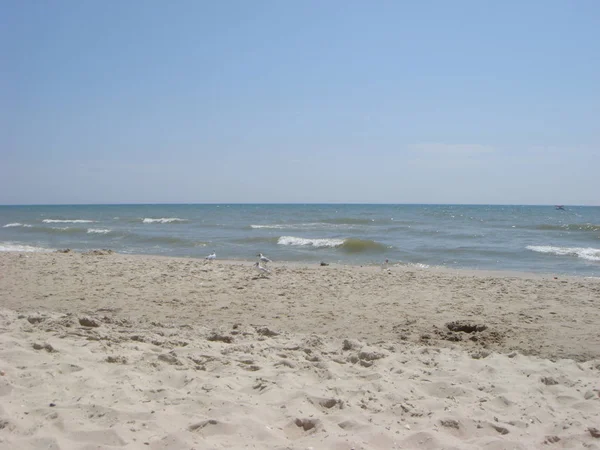 Modrá obloha písečná pláž, modré moře a racky — Stock fotografie
