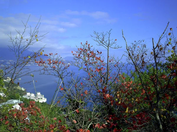 Вид на Ялту из села Ливадия в Крыму — стоковое фото