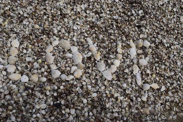 Любите морской текст на пляжном фоне. Отдых, идиллическая концепция . — стоковое фото