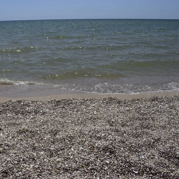 La playa y el mar. Piedras y conchas en la playa . — Foto de Stock