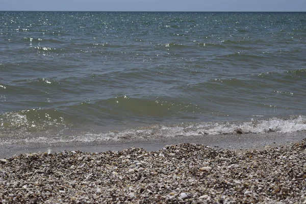 Plaża i morze. Kamienie i muszle na plaży. — Zdjęcie stockowe