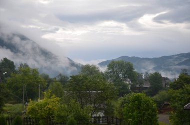 Fırtınadan sonra, dağlardaki ayılar sigara içmeye karar verdiğinde. ;)