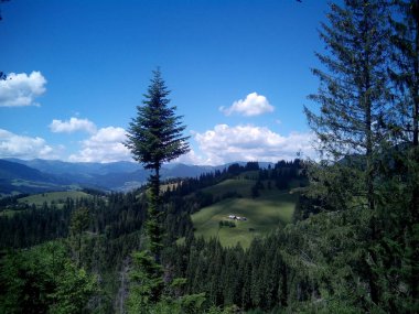 Sessiz alp hutsul yalnızlık