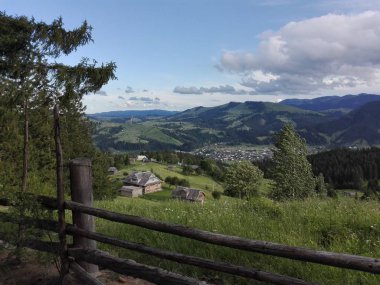 Kokulu çilek arayışı içinde