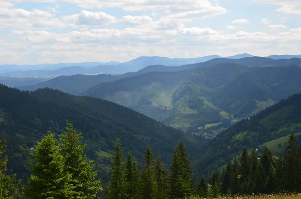 Nasıl öğle yemeği için bir yer gibi yo?