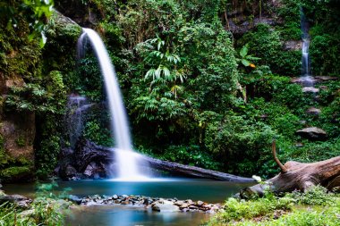 Chiang Mai (Tayland) ormanında Montathan şelale uzun pozlama)