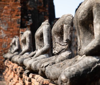 Ayutthaya 'daki harap tapınağında yer alan antik taş Buddha heykellerinin yakın olması