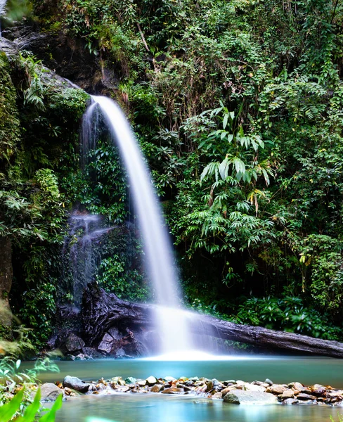 Chiang Mai (Tayland) ormanında Montathan şelale uzun pozlama)