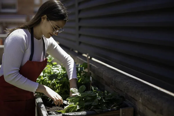 Beautiful woman taking care of urban vegetables garden