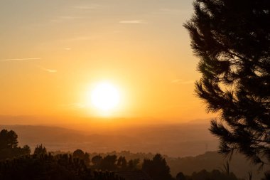 Ağaç siluetleri ve turuncu gökyüzü ile gün batımı manzarası