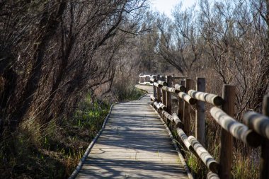 Çıplak ağaçlar ile ahşap bir yol ve çit görünümü