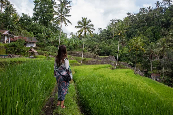 Hermosa mujer en campos de arroz verde en Bali —  Fotos de Stock