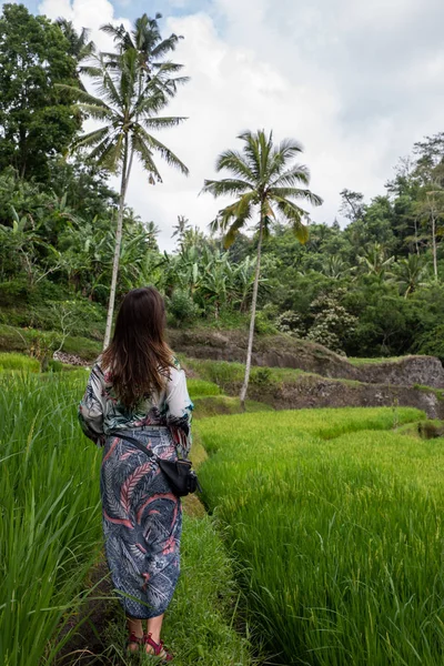Mooie vrouw op groene rijstvelden in Bali — Stockfoto