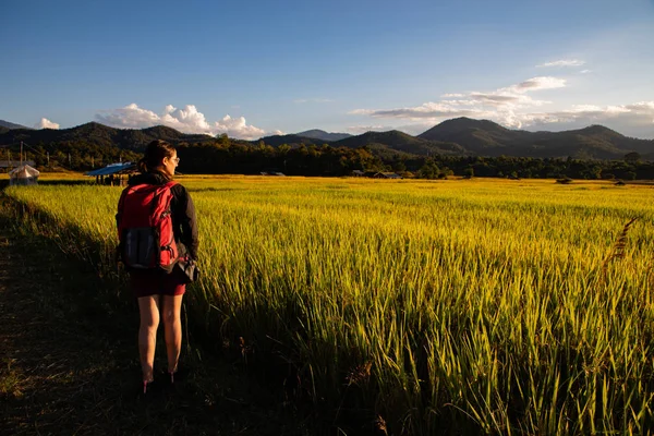 Mooie reiziger vrouw met rugzak op rijstvelden in Thailan — Stockfoto