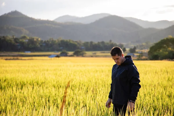Knappe reiziger man op rijstvelden in Thailand — Stockfoto