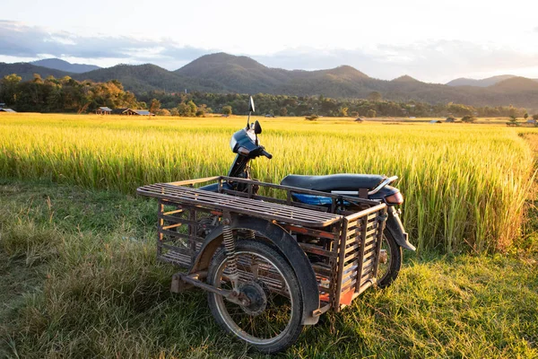 Pirinç tarlasında vintage scooter ve sidecar