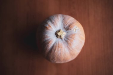 Evde ahşap bir masada tek pembe kabak