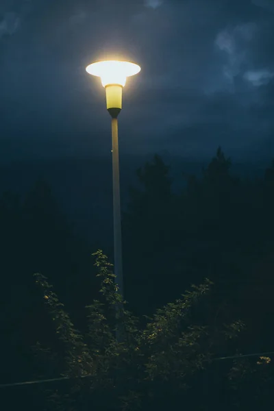 Lampa miejska na wieczór otoczony krzewów na parku — Zdjęcie stockowe