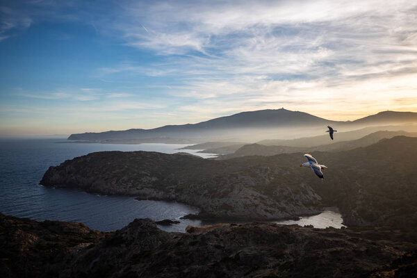Sunset over sea cliffs and low clouds with clear sky and two seagulls