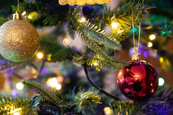 Globo de decoração vermelha na árvore de Natal de perto — Fotografia de Stock