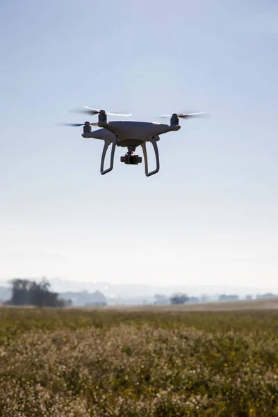 Registrazione drone sul cielo sopra campo di fiori bianchi — Foto Stock