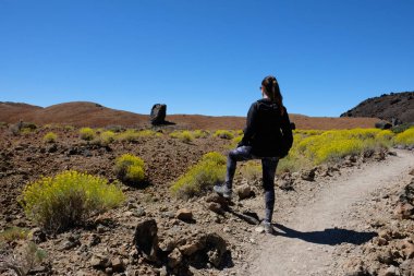 Sarı çiçeklerle çevrili kuru dağ manzarasında kadın