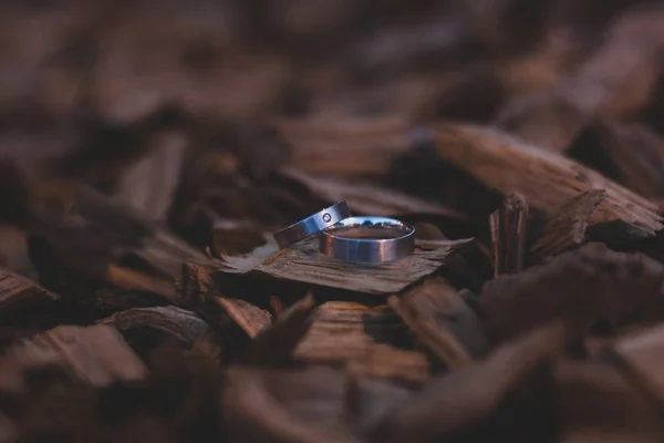 Wedding rings on wooden chops — Stock Photo, Image