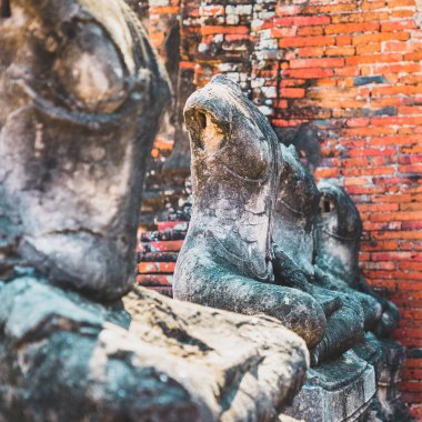 Ayutthaya 'daki harap tapınağında yer alan antik taş Buddha heykellerinin yakın olması