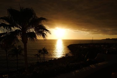 Okyanus ve avuç içi silüeti üzerinde günbatımı