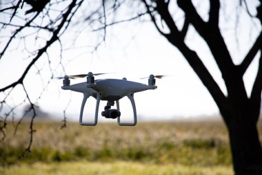 Beyaz çiçekler alanı üzerinde gökyüzüne kayıt drone