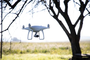 Beyaz çiçekler alanı üzerinde gökyüzüne kayıt drone