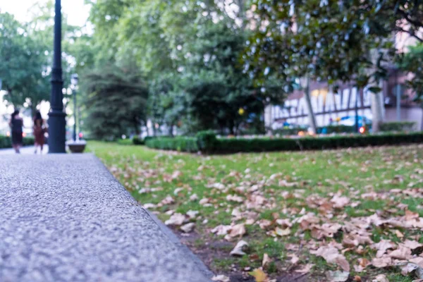 Close up of a park path walk with grass and leaves — Stock Photo, Image