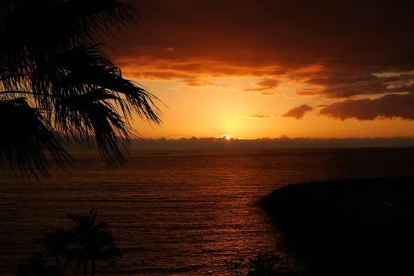 Pôr do sol sobre o oceano e silhueta de palmas — Fotografia de Stock