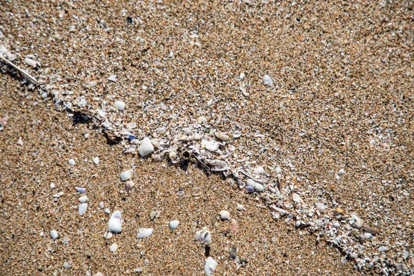 Закрыть вид на снаряды в песке — стоковое фото