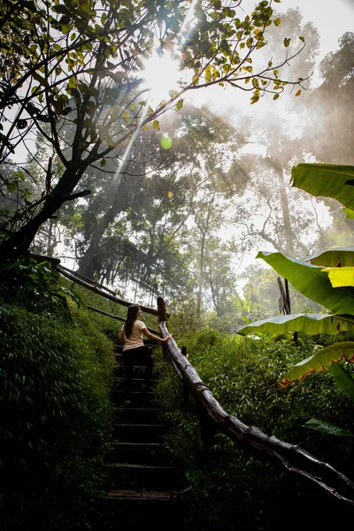 Mulher bonita em escadas em um caminho de floresta tropical nebulosa e molhada em — Fotografia de Stock