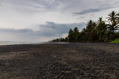 Bali, Endonezya fırtınalı bir günde bitki örtüsü ile siyah kumlu plaj