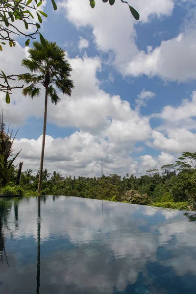 Villa Infinity pool met een palmboom en regenwoud met blauw en wolken in de lucht in Bali Indonesië — Stockfoto