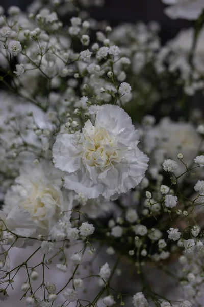 Primer plano de cubo de claveles blancos con pequeñas flores blancas — Foto de Stock