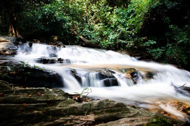 Yağmur ormanlarında küçük bir şelale ile bir nehir uzun pozlama