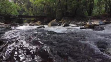 Savegre River, San Gerardo de Dota. Quetzales National Park, Costa Rica. The cleanest river in Central America.