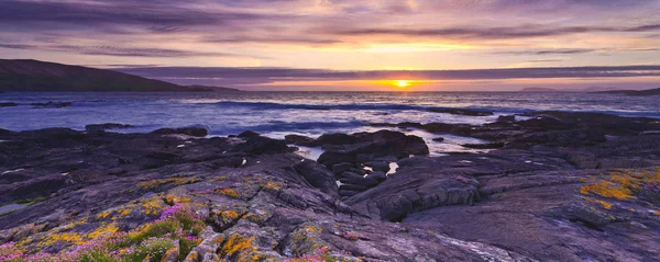 Beara Irlandés Barra Península Beara Una Península Costa Suroeste Irlanda — Foto de Stock