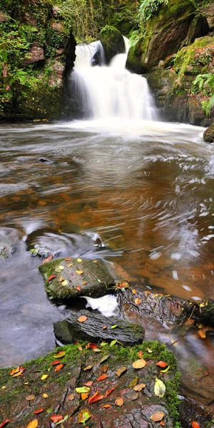 Mullinhassig Wood Coillte Owned Property Straddling Townlands Aghavrin Shanavagha North — Stock Photo, Image