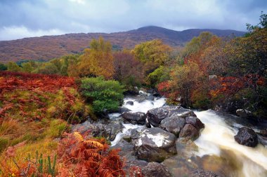 Sonbahar renkleri ile çevrili, Gearhameen Nehri Co.Kerry, İrlanda dağlardan akar