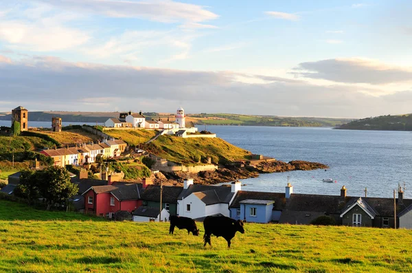 Faro Roche Point Está Situado Entrada Del Puerto Cork Irlanda — Foto de Stock