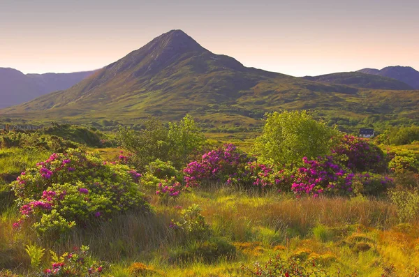 Comeragh Dağları güzellik noktası, Co.Waterford, İrlanda