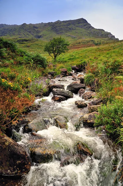 Ruisseau Écoulement Rapide Dans Les Montagnes Kerry Irlande — Photo