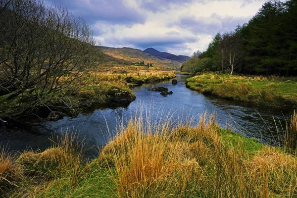 Den Svart Dalen Kerry Irland Med Corrauntoohil Berg Den Avlägsna — Stockfoto